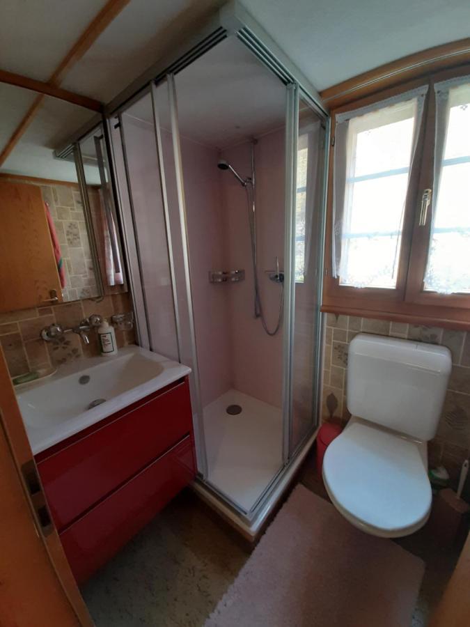 Chalet Am Fels Innertkirchen Extérieur photo